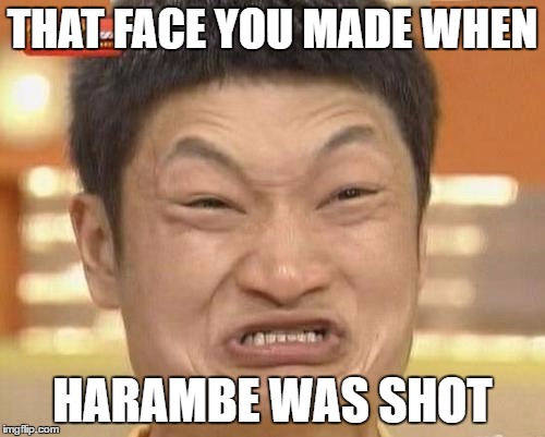 Impossibru Guy Original | THAT FACE YOU MADE WHEN; HARAMBE WAS SHOT | image tagged in memes,impossibru guy original | made w/ Imgflip meme maker