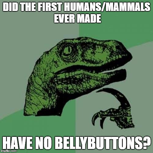 I recently thought of this. Also, first post in 4 months! | DID THE FIRST HUMANS/MAMMALS EVER MADE; HAVE NO BELLYBUTTONS? | image tagged in memes,philosoraptor | made w/ Imgflip meme maker