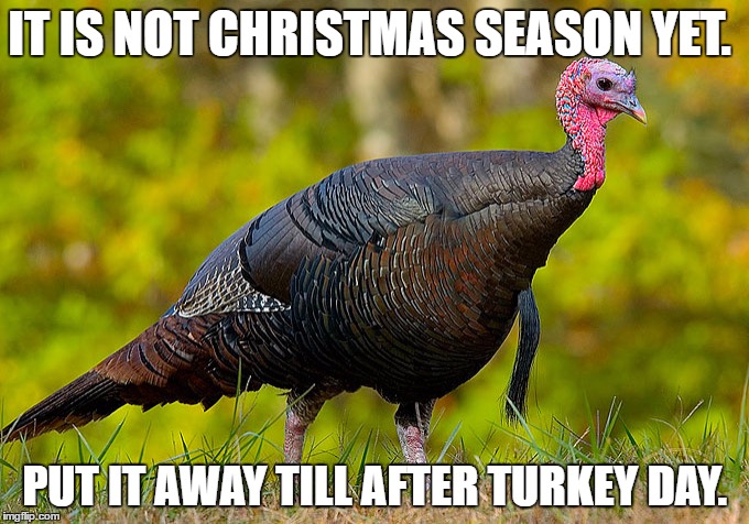 TurkeyDay | IT IS NOT CHRISTMAS SEASON YET. PUT IT AWAY TILL AFTER TURKEY DAY. | image tagged in turkeyday | made w/ Imgflip meme maker