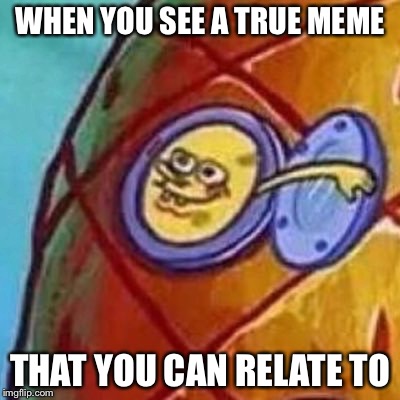 True Meme | WHEN YOU SEE A TRUE MEME THAT YOU CAN RELATE TO | image tagged in so true memes,spongebob,dank memes,funny,memes,oh hey | made w/ Imgflip meme maker