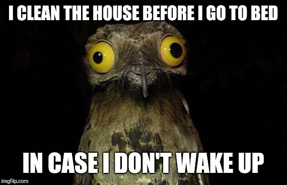 Weird Stuff I Do Potoo | I CLEAN THE HOUSE BEFORE I GO TO BED; IN CASE I DON'T WAKE UP | image tagged in memes,weird stuff i do potoo | made w/ Imgflip meme maker