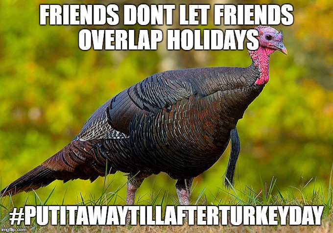 TurkeyDay | FRIENDS DONT LET FRIENDS OVERLAP HOLIDAYS; #PUTITAWAYTILLAFTERTURKEYDAY | image tagged in turkeyday | made w/ Imgflip meme maker