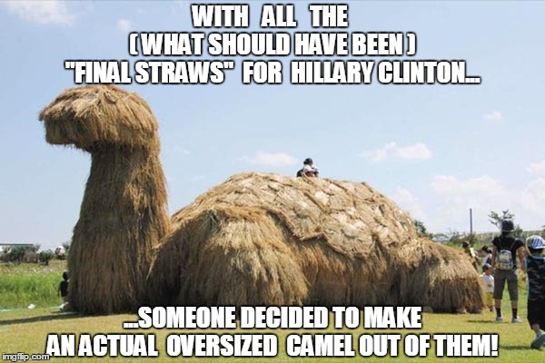 FINAL STRAW | WITH   ALL   THE; ( WHAT SHOULD HAVE BEEN ); "FINAL STRAWS"  FOR  HILLARY CLINTON... ...SOMEONE DECIDED TO MAKE; AN ACTUAL  OVERSIZED  CAMEL OUT OF THEM! | image tagged in corrupt,hillary clinton,pathological liar,sociopath | made w/ Imgflip meme maker