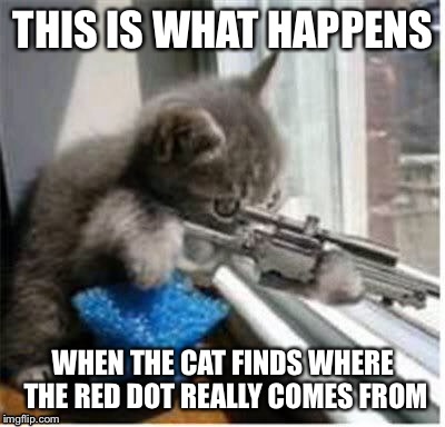 cats with guns | THIS IS WHAT HAPPENS; WHEN THE CAT FINDS WHERE THE RED DOT REALLY COMES FROM | image tagged in cats with guns | made w/ Imgflip meme maker
