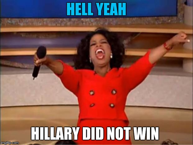 Oprah You Get A Meme | HELL YEAH; HILLARY DID NOT WIN | image tagged in memes,oprah you get a | made w/ Imgflip meme maker