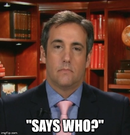 Michael Cohen | "SAYS WHO?" | image tagged in michael cohen | made w/ Imgflip meme maker