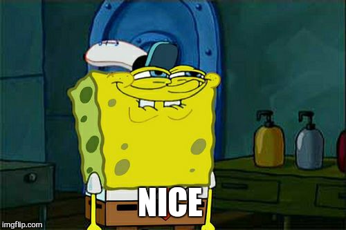 Don't You Squidward Meme | NICE | image tagged in memes,dont you squidward | made w/ Imgflip meme maker