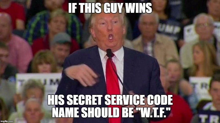 Trump | IF THIS GUY WINS; HIS SECRET SERVICE CODE NAME SHOULD BE "W.T.F." | image tagged in donald trump,trump,trump 2016,funny,memes | made w/ Imgflip meme maker