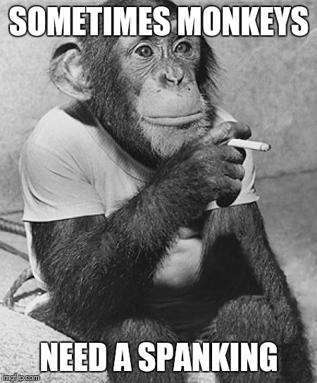 Smoking Chimpanzee | SOMETIMES MONKEYS; NEED A SPANKING | image tagged in smoking chimpanzee,memes | made w/ Imgflip meme maker