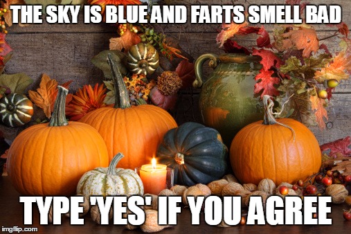  THE SKY IS BLUE AND FARTS SMELL BAD; TYPE 'YES' IF YOU AGREE | image tagged in yes,farts | made w/ Imgflip meme maker
