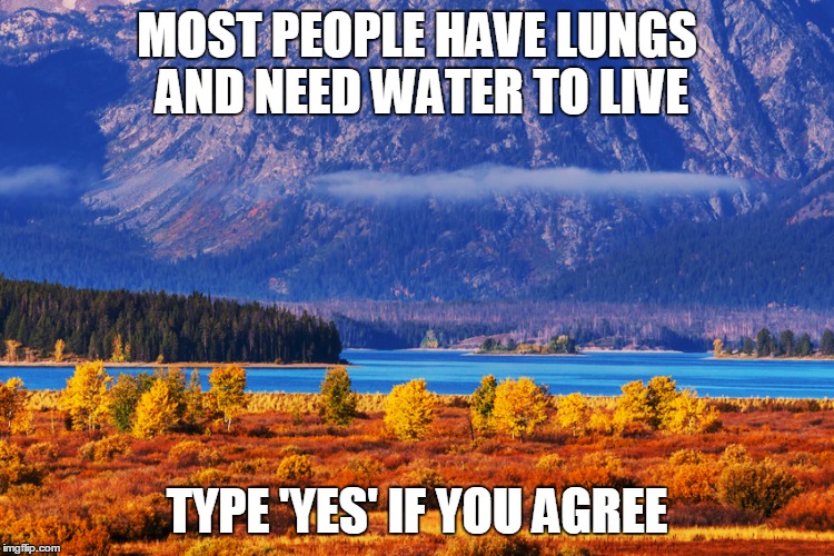  MOST PEOPLE HAVE LUNGS AND NEED WATER TO LIVE; TYPE 'YES' IF YOU AGREE | image tagged in yes,water | made w/ Imgflip meme maker
