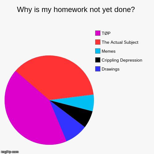Homework ;-; | image tagged in funny,pie charts,twenty one pilots | made w/ Imgflip chart maker