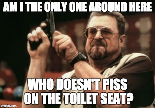 Just lift up the seat first. It's not a herculean feat. | AM I THE ONLY ONE AROUND HERE; WHO DOESN'T PISS ON THE TOILET SEAT? | image tagged in memes,am i the only one around here | made w/ Imgflip meme maker