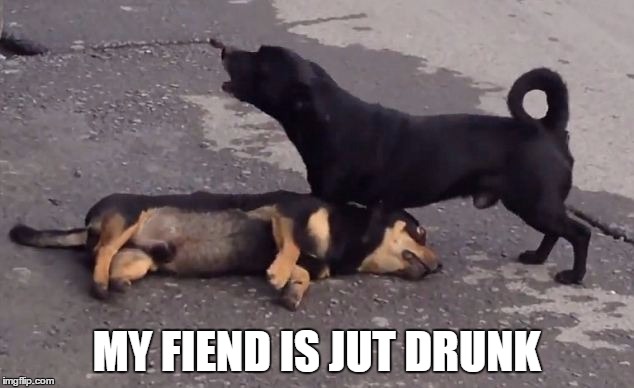 MY FIEND IS JUT DRUNK | image tagged in drunk | made w/ Imgflip meme maker