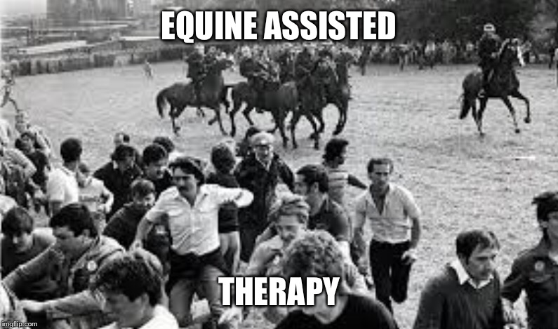 EQUINE ASSISTED; THERAPY | image tagged in funny memes | made w/ Imgflip meme maker