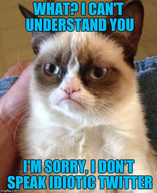 Grumpy Cat Vs. Twitter Talk | WHAT? I CAN'T UNDERSTAND YOU; I'M SORRY, I DON'T SPEAK IDIOTIC TWITTER | image tagged in memes,grumpy cat | made w/ Imgflip meme maker