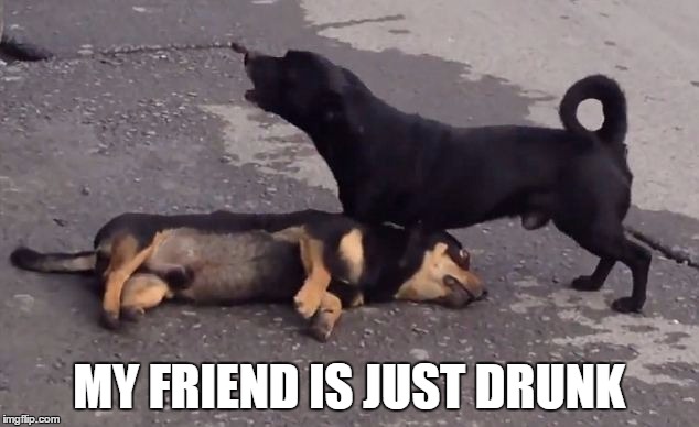 MY FRIEND IS JUST DRUNK | image tagged in drunk | made w/ Imgflip meme maker