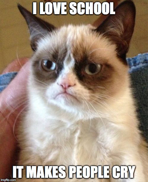 Grumpy Cat Meme | I LOVE SCHOOL; IT MAKES PEOPLE CRY | image tagged in memes,grumpy cat | made w/ Imgflip meme maker