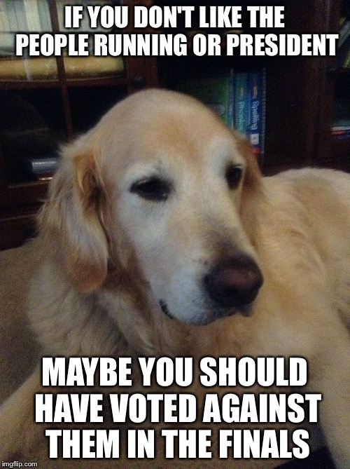 Overly critical dog | IF YOU DON'T LIKE THE PEOPLE RUNNING OR PRESIDENT; MAYBE YOU SHOULD HAVE VOTED AGAINST THEM IN THE FINALS | image tagged in overly critical dog | made w/ Imgflip meme maker