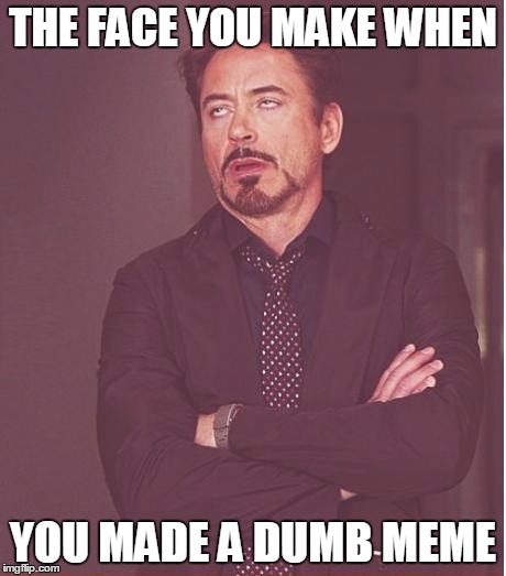 Face You Make Robert Downey Jr Meme | THE FACE YOU MAKE WHEN; YOU MADE A DUMB MEME | image tagged in memes,face you make robert downey jr | made w/ Imgflip meme maker
