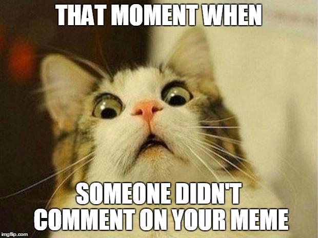 Scared Cat | THAT MOMENT WHEN; SOMEONE DIDN'T COMMENT ON YOUR MEME | image tagged in memes,scared cat | made w/ Imgflip meme maker