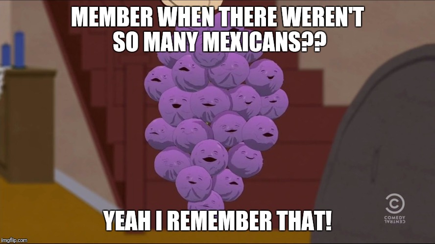 Member Berries | MEMBER WHEN THERE WEREN'T SO MANY MEXICANS?? YEAH I REMEMBER THAT! | image tagged in memes,member berries | made w/ Imgflip meme maker