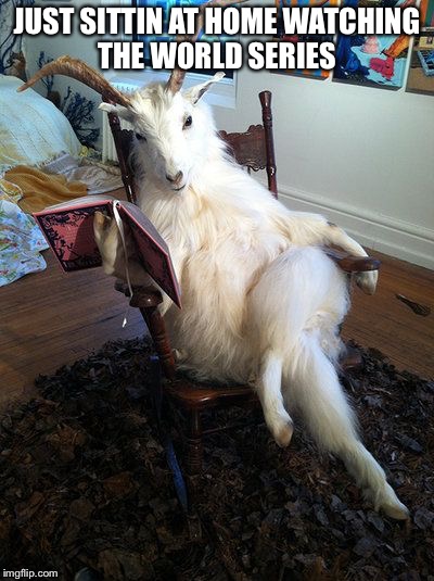 reading goat | JUST SITTIN AT HOME WATCHING THE WORLD SERIES | image tagged in reading goat | made w/ Imgflip meme maker