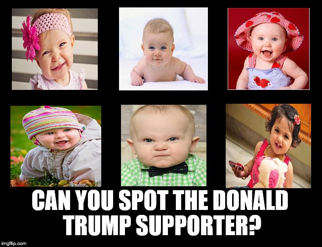 Nature Or Nurture? | CAN YOU SPOT THE DONALD TRUMP SUPPORTER? | image tagged in babies,donald trump,election 2016,funny,trump supporter,nature or nurture | made w/ Imgflip meme maker