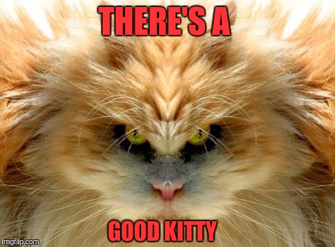 THERE'S A GOOD KITTY | made w/ Imgflip meme maker