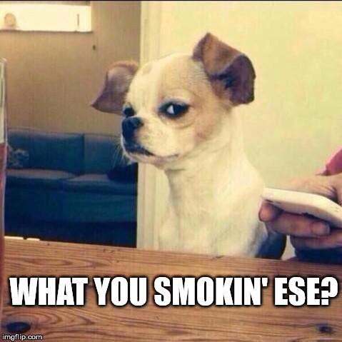 Skeptical Chihuahua | WHAT YOU SMOKIN' ESE? | image tagged in skeptical chihuahua | made w/ Imgflip meme maker
