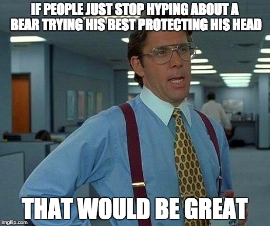 That Would Be Great | IF PEOPLE JUST STOP HYPING ABOUT A BEAR TRYING HIS BEST PROTECTING HIS HEAD; THAT WOULD BE GREAT | image tagged in memes,that would be great | made w/ Imgflip meme maker