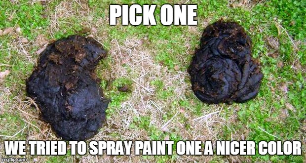 Two Turds | PICK ONE WE TRIED TO SPRAY PAINT ONE A NICER COLOR | image tagged in two turds | made w/ Imgflip meme maker