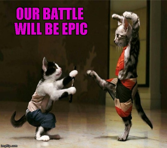 OUR BATTLE WILL BE EPIC | made w/ Imgflip meme maker