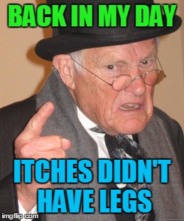 Back In My Day Meme | BACK IN MY DAY ITCHES DIDN'T HAVE LEGS | image tagged in memes,back in my day | made w/ Imgflip meme maker