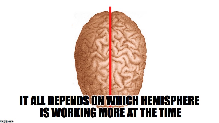 IT ALL DEPENDS ON WHICH HEMISPHERE IS WORKING MORE AT THE TIME | made w/ Imgflip meme maker