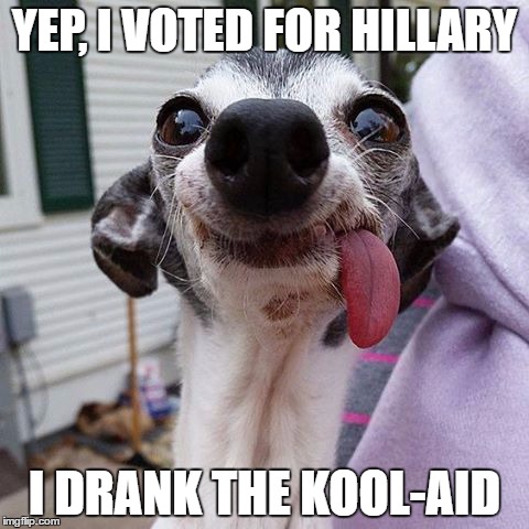 YEP, I VOTED FOR HILLARY; I DRANK THE KOOL-AID | image tagged in sid | made w/ Imgflip meme maker