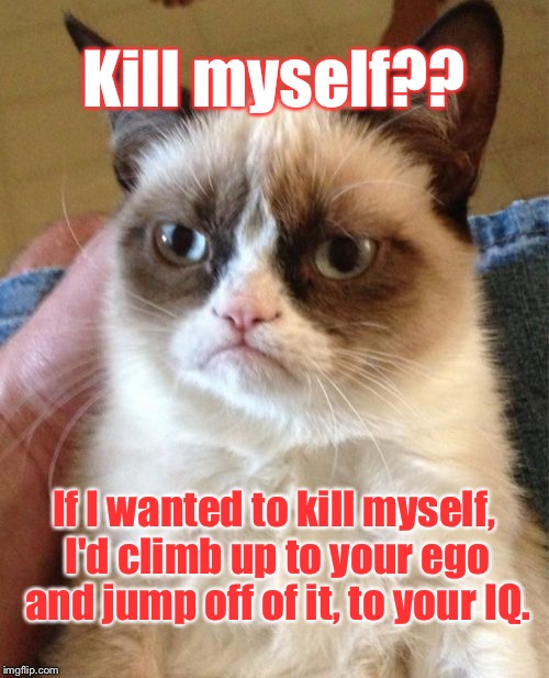 Grumpy Cat | Kill myself?? If I wanted to kill myself, I'd climb up to your ego and jump off of it, to your IQ. | image tagged in memes,grumpy cat | made w/ Imgflip meme maker