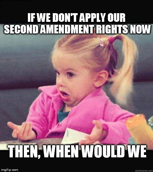 I dont know girl | IF WE DON'T APPLY OUR SECOND AMENDMENT RIGHTS NOW; THEN, WHEN WOULD WE | image tagged in i dont know girl | made w/ Imgflip meme maker