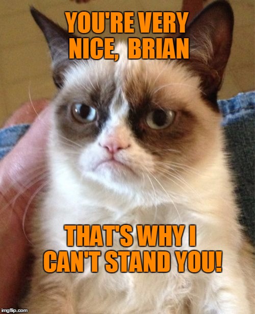 Grumpy Cat Meme | YOU'RE VERY NICE,  BRIAN THAT'S WHY I CAN'T STAND YOU! | image tagged in memes,grumpy cat | made w/ Imgflip meme maker