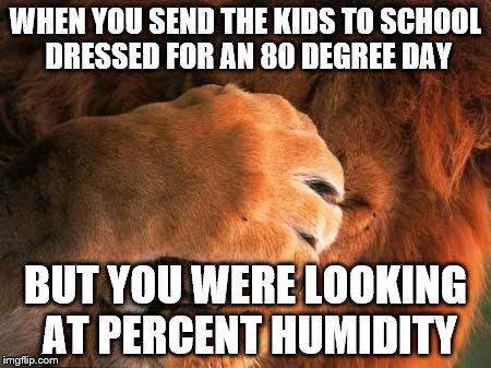 Weather Mix Up | WHEN YOU SEND THE KIDS TO SCHOOL DRESSED FOR AN 80 DEGREE DAY; BUT YOU WERE LOOKING AT PERCENT HUMIDITY | image tagged in embarrassed lion | made w/ Imgflip meme maker