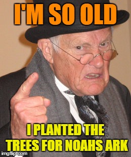 Back In My Day Meme | I'M SO OLD I PLANTED THE TREES FOR NOAHS ARK | image tagged in memes,back in my day | made w/ Imgflip meme maker