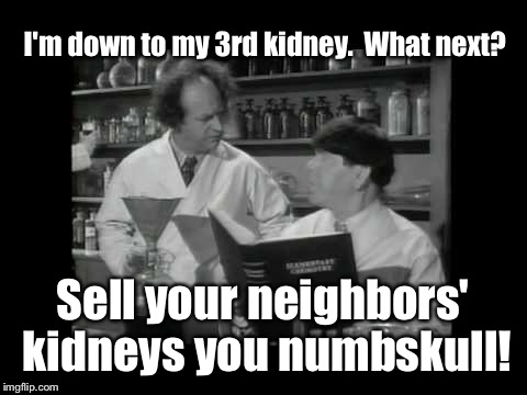 I'm down to my 3rd kidney.  What next? Sell your neighbors' kidneys you numbskull! | made w/ Imgflip meme maker