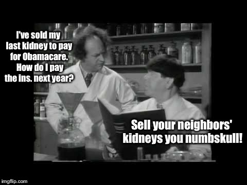 They won't be needing them anymore anyway. | I've sold my last kidney to pay for Obamacare.  How do I pay the ins. next year? Sell your neighbors' kidneys you numbskull! | image tagged in memes,obamacare,kidney sale,insurance costs | made w/ Imgflip meme maker