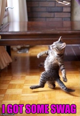 Cool Cat Stroll Meme | I GOT SOME SWAG | image tagged in memes,cool cat stroll | made w/ Imgflip meme maker