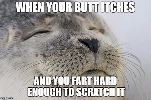 Satisfied Seal Meme | WHEN YOUR BUTT ITCHES; AND YOU FART HARD ENOUGH TO SCRATCH IT | image tagged in memes,satisfied seal | made w/ Imgflip meme maker