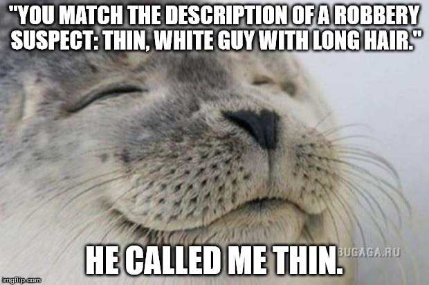 Happy Seal | "YOU MATCH THE DESCRIPTION OF A ROBBERY SUSPECT: THIN, WHITE GUY WITH LONG HAIR."; HE CALLED ME THIN. | image tagged in happy seal | made w/ Imgflip meme maker