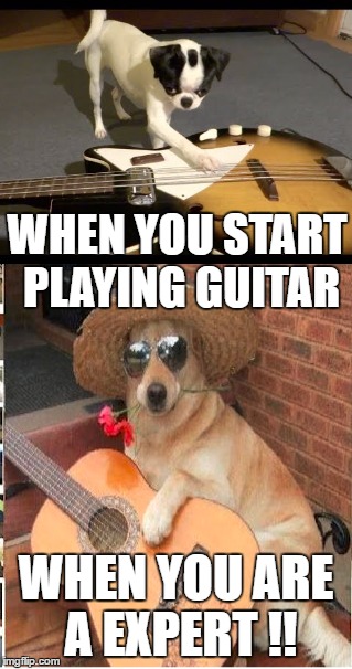 WHEN YOU START PLAYING GUITAR; WHEN YOU ARE A EXPERT !! | image tagged in dogs,music,guitar,cute | made w/ Imgflip meme maker