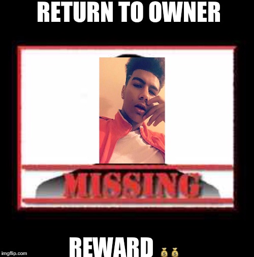 Missing | RETURN TO OWNER; REWARD 💰💰 | image tagged in missing | made w/ Imgflip meme maker