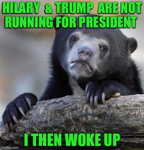 Confession Bear | HILARY  & TRUMP  ARE NOT RUNNING FOR PRESIDENT; I THEN WOKE UP | image tagged in memes,confession bear | made w/ Imgflip meme maker