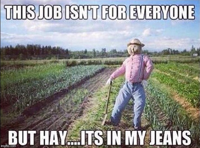 image tagged in scarecrow in field | made w/ Imgflip meme maker